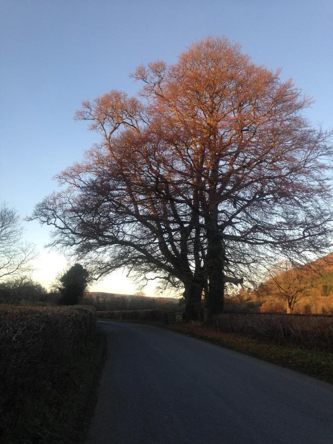 Henllys Estate B And B Llandovery Zewnętrze zdjęcie