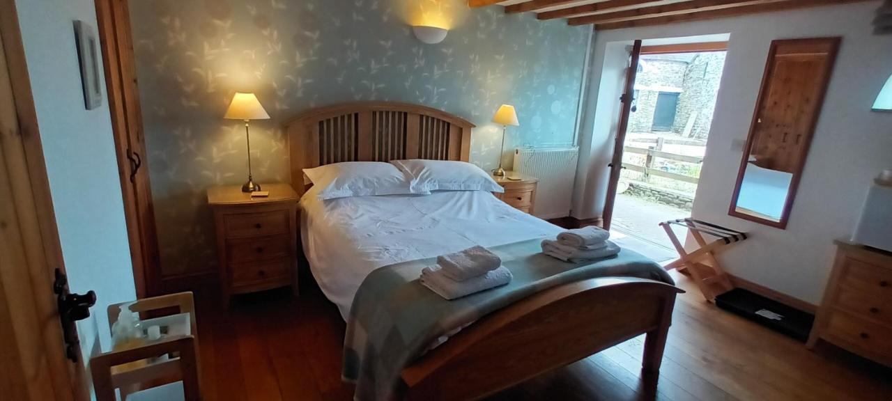 Henllys Estate B And B Llandovery Zewnętrze zdjęcie